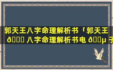 郭天王八字命理解析书「郭天王 💐 八字命理解析书电 🐵 子版」